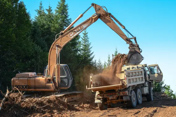 Cazino Bonkers Bet Cazinou Suport